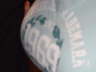 DSCF0336