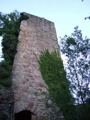 DSCF0473