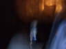 DSCF0483