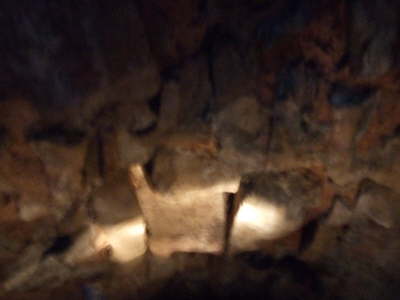 DSCF0484
