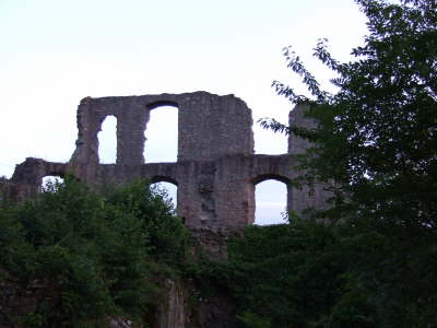 DSCF0488