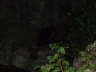 DSCF0519