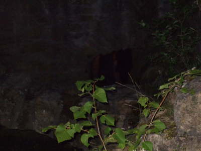 DSCF0520