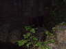 DSCF0520