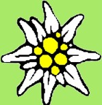 edelweiß 02